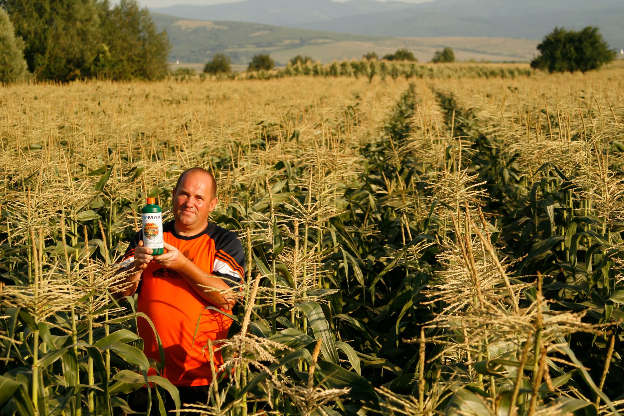 Maisveld in Roemenië. Foto’s: Holland Farming