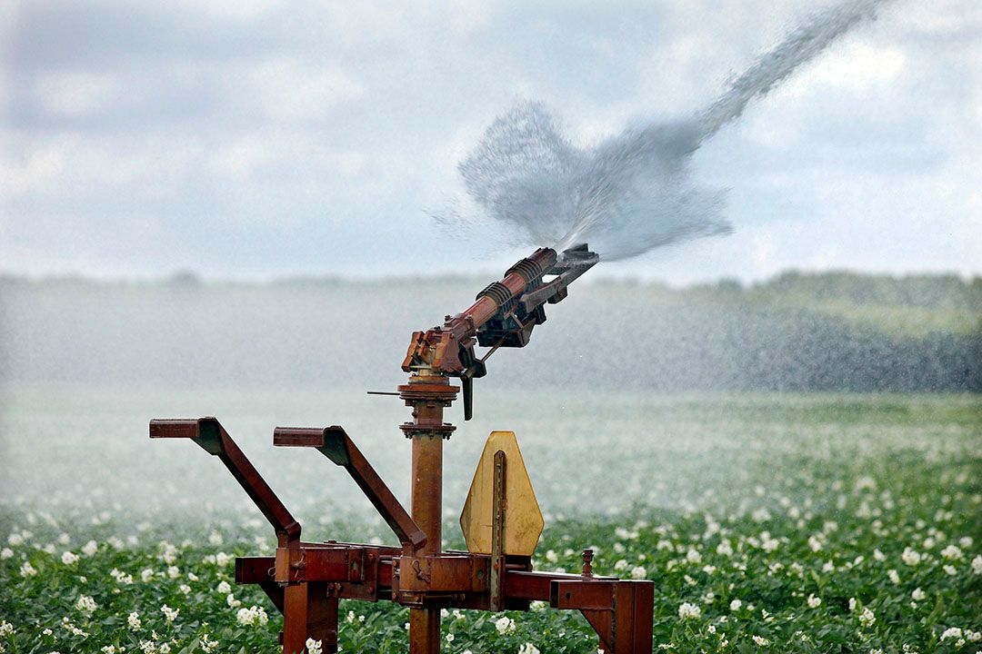 Een aardappelveld wordt beregend. - Foto: Ton Kastermans fotografie