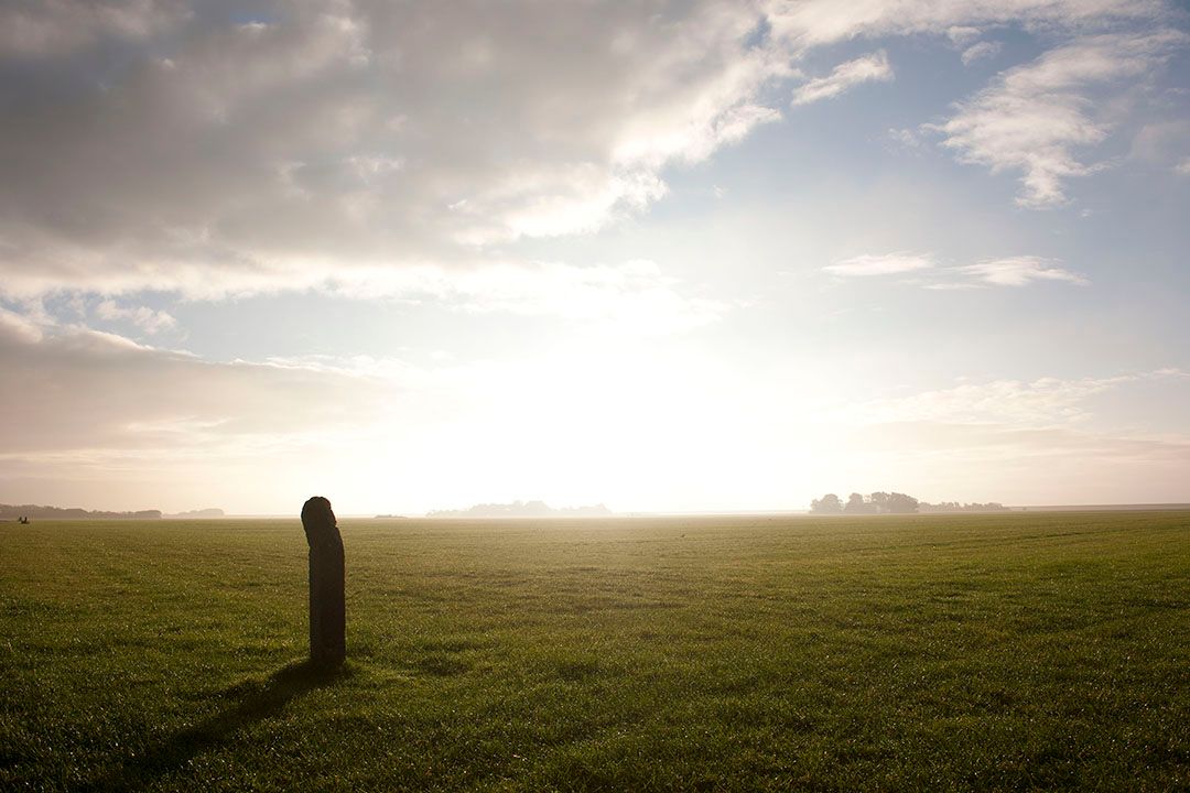 Aanzicht polder rond Utrecht telt zwaarder dan belangen teler. Foto: Mark Pasveer.