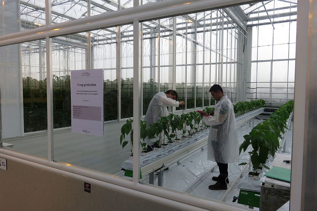 Groene banen en groen onderwijs mengen zich op het World Horti Center in Naaldwijk - Foto: Ton van der Scheer