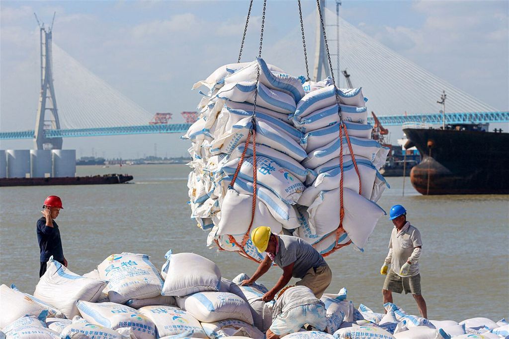 Hoewel China minder afhankelijk wil worden van import, haalt het 80% van zijn sojabonen uit het buitenland. - Foto: ANP
