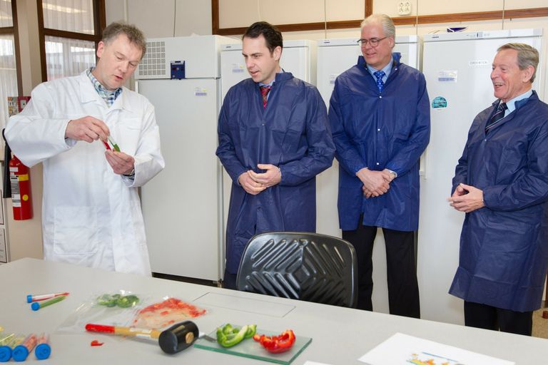 Werkbezoek van staatssecretaris Martijn van Dam eerder dit jaar bij Naktuinbouw. Foto: Naktuinbouw