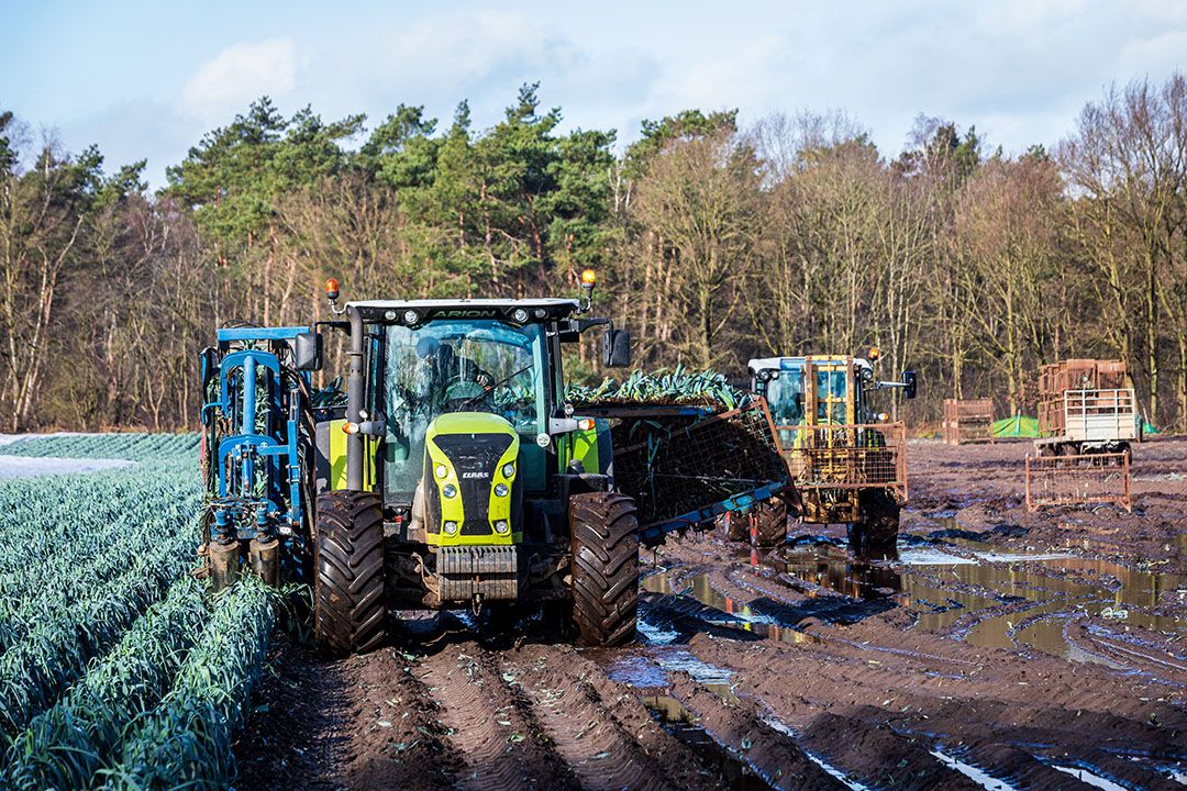 Lidl-telers kunnen bij PlanetProof blijven, na keuze hoofdkantoor voor dit keurmerk. Foto: ANP / Hollandse Hoogte / Venema Media