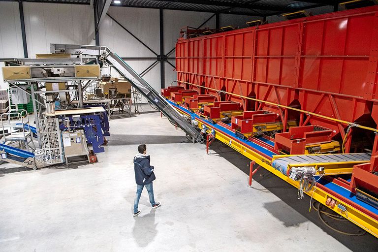 De fabriekshal van A.C. Loogman in Aalsmeer. De inboedel is inmiddels geveild. - Foto: Cor Salverius Fotografie