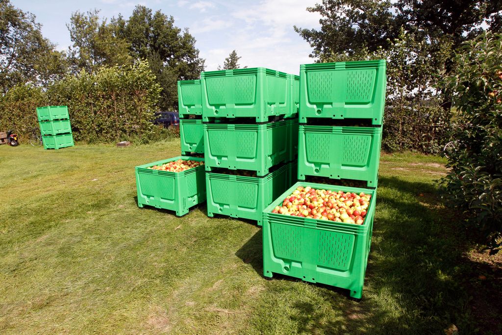 De EU-productie appels wordt geraamd op 10,1 miljoen ton. Foto: Bert Jansen