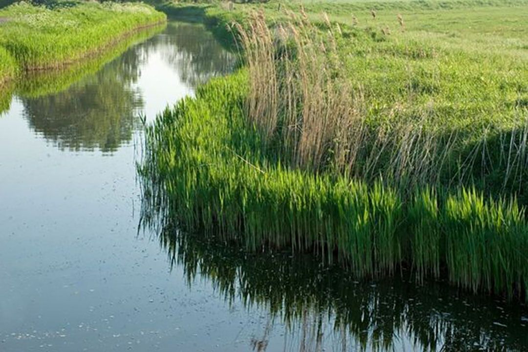 kaarten bufferstroken