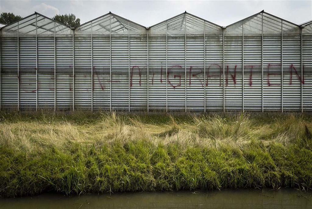De Westlandse politiek wil geen noodopvang van asielzoekers. - Foto: ANP