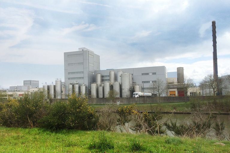 De fabriek van FrieslandCampina in Aalter, waar Royal A-ware aan de slag wil. - Foto: RFC