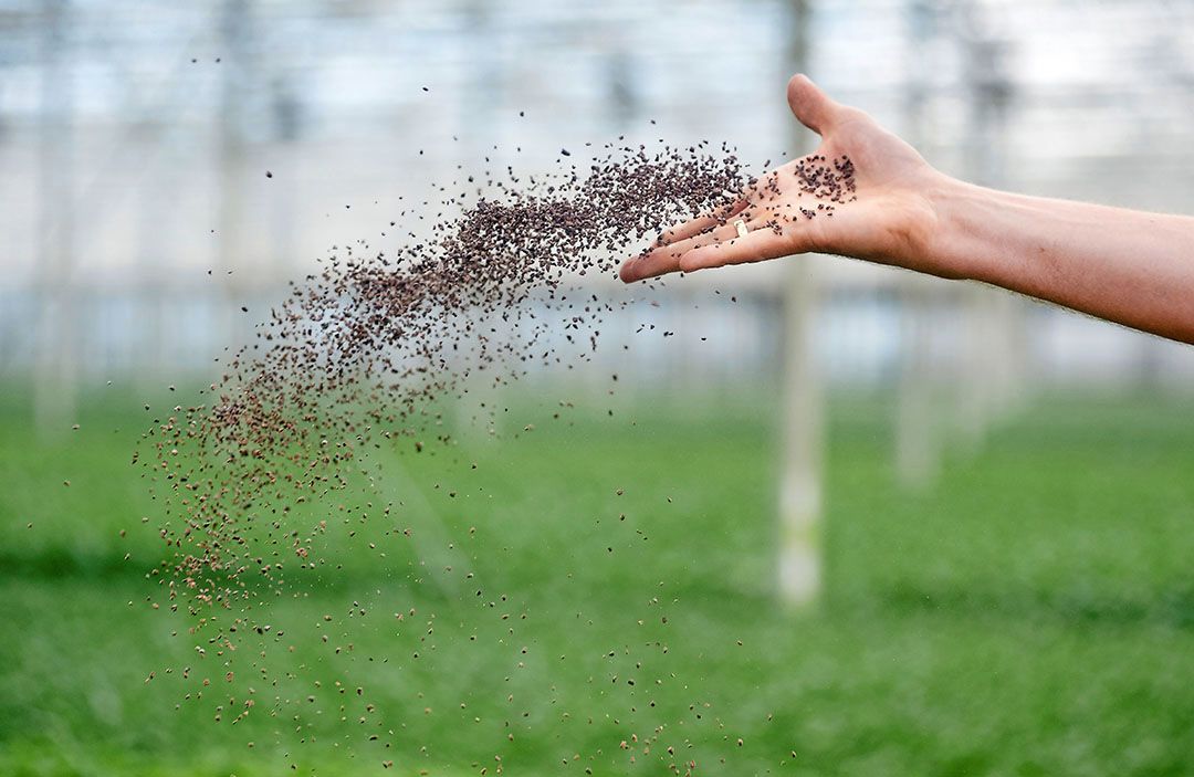 Foto: Van Assendelft Fotografie