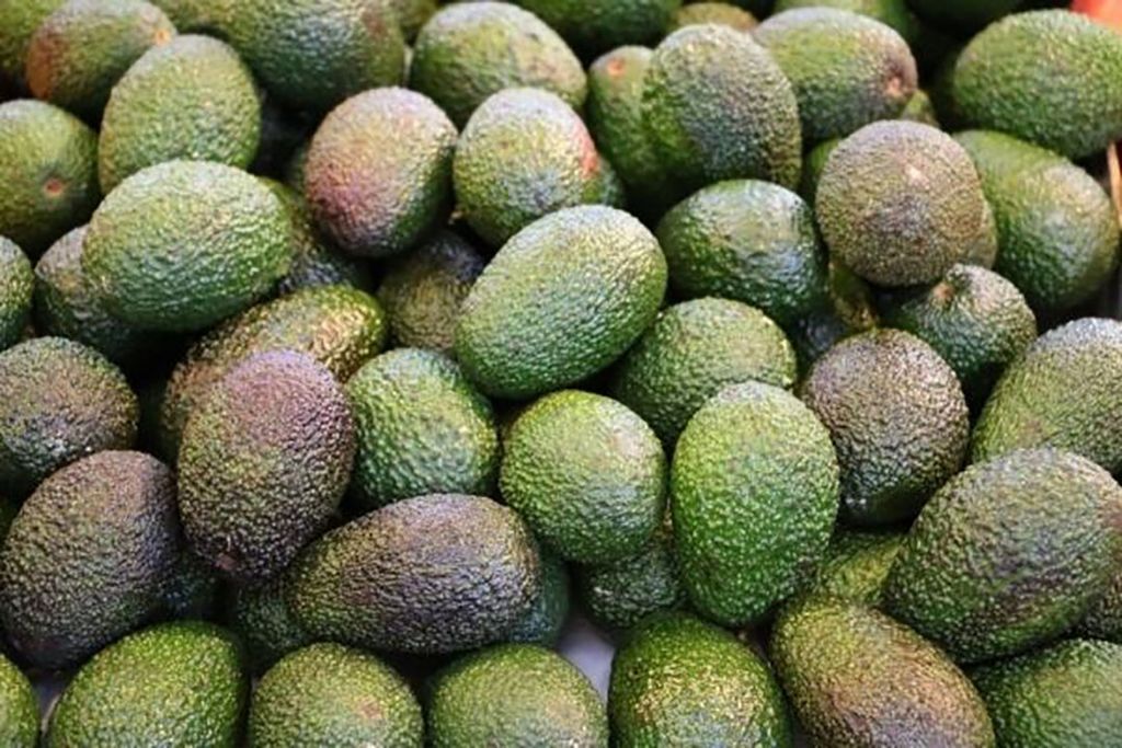 De avocado wint de laatste jaren aan terrein. Foto: Canva