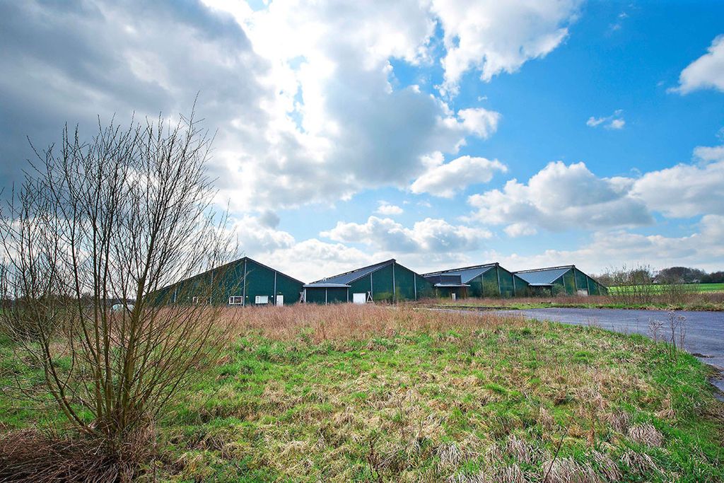 Het voormalige pluimveebedrijf in Groesbeek, waar Kees Koolen een zuivelfabriek wil beginnen. - Foto: Bert Beelen/ANP