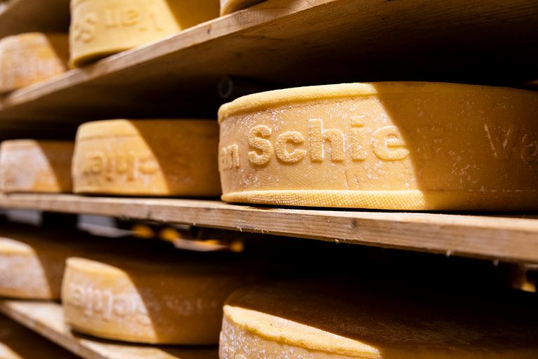 Het is de bedoeling dat in de toekomst een beleefboerderij en kaasmakerij op het eiland komen om de Van Schier-kazen te produceren. De productie is nu nog op de wal.