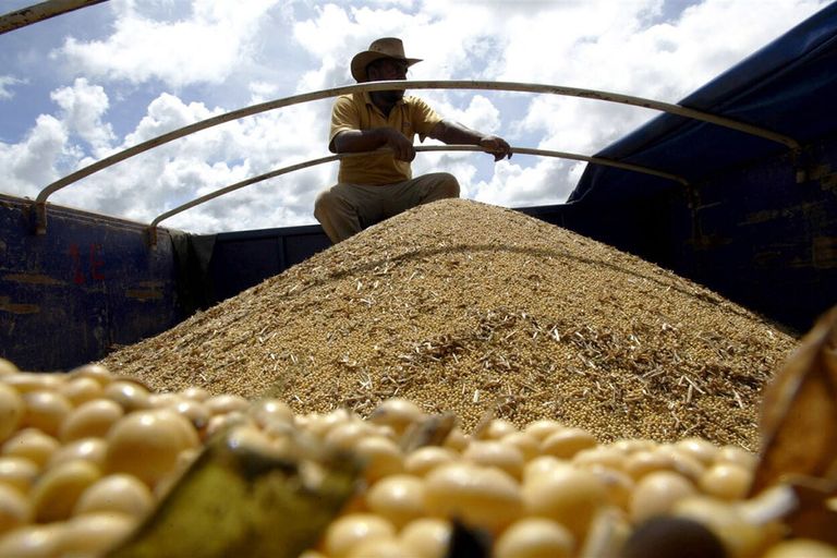 Een vrachtwagen gevuld met sojabonen in Brazilië. Het Zuid-Amerikaanse profiteert van de groeiende vraag naar soja vanuit China. - Foto: ANP