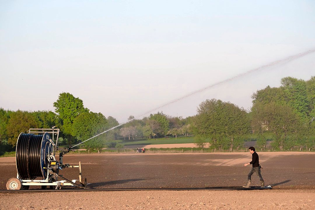 Regionaal kan er wel een tekort aan oppervlaktewater zijn in gebieden waar geen wateraanvoer mogelijk is. - Foto: Twan Wiermans