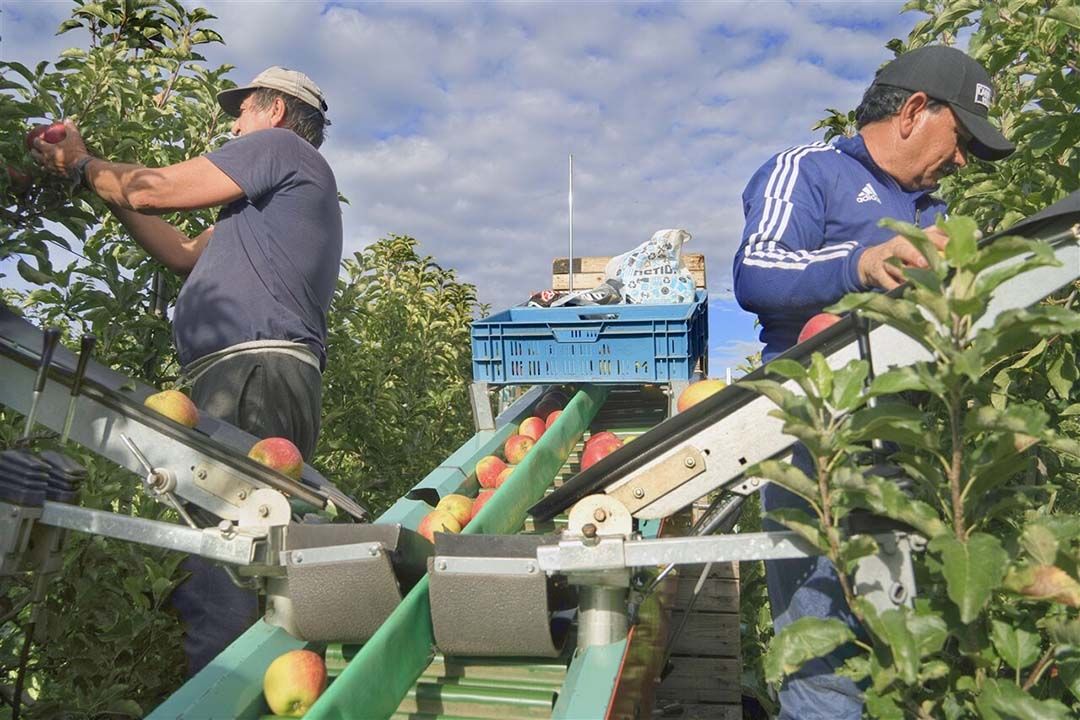 arbeidsmigranten huisvesten