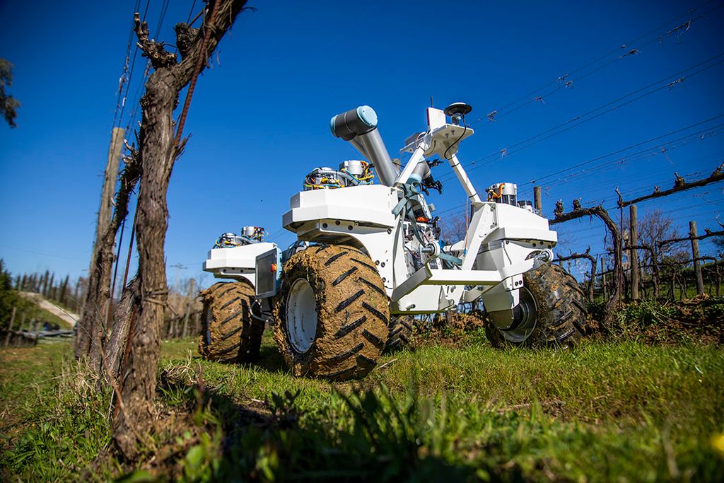 Yanmar R&D Europe werkt samen met partners om deze zelfrijder met erop modulaire robotachtige landbouwtechniek te testen. - Foto: Yanmar