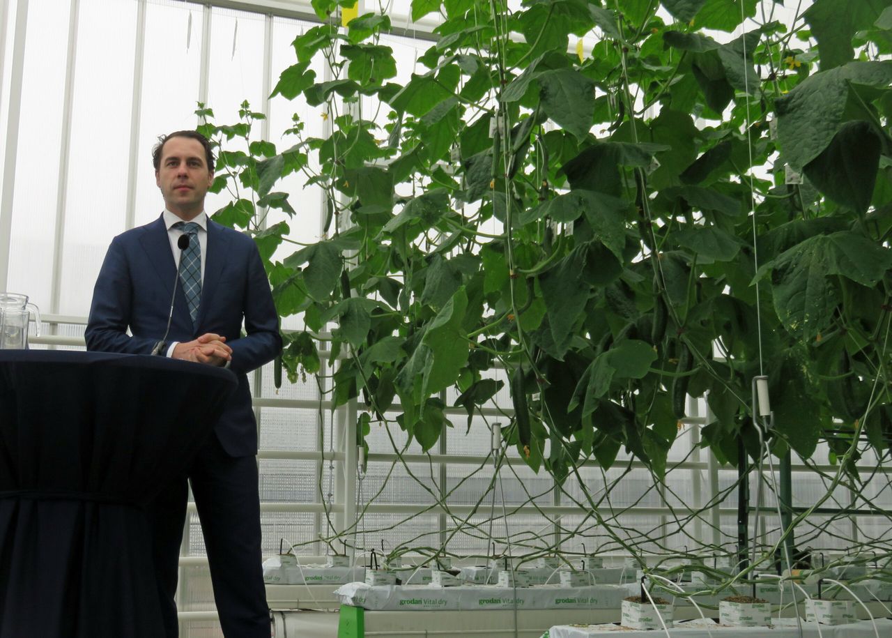 Staatssecretaris van dam (EZ) opent de Winterlichtkas bij Wageningen UR Glastuinbouw in Bleiswijk. - foto: Ton van der Scheer