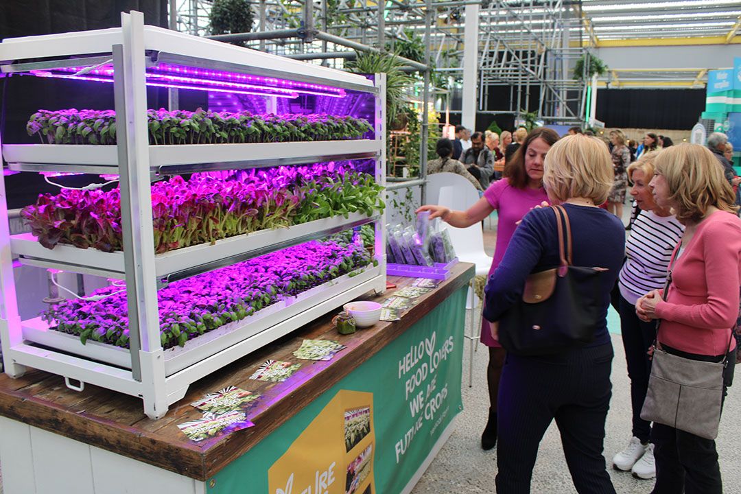 Future Crops op het AH Beter Eten Festival vorig jaar in Hoofddorp. Foto: Ton van der Scheer