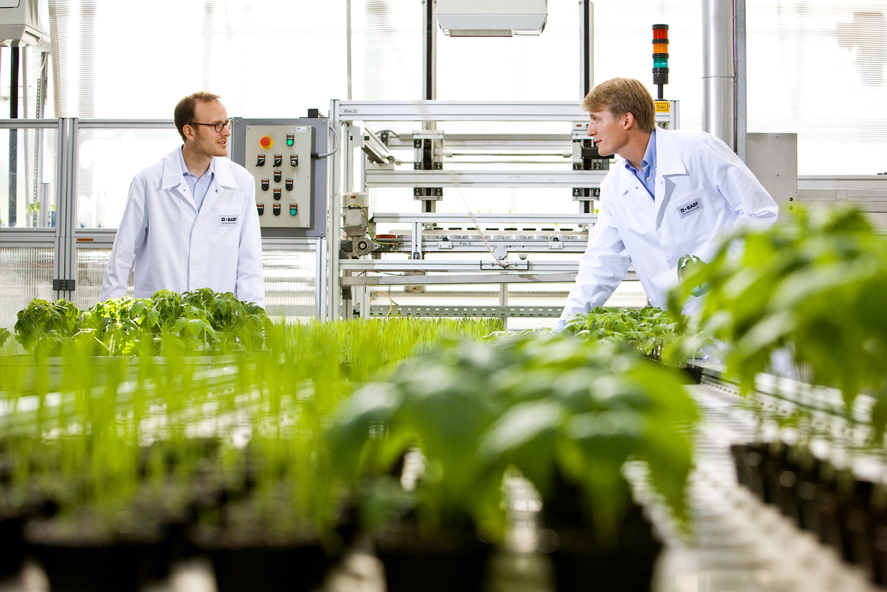 BASF richt zich vooral op chemie, niet op zaden - Foto: BASF