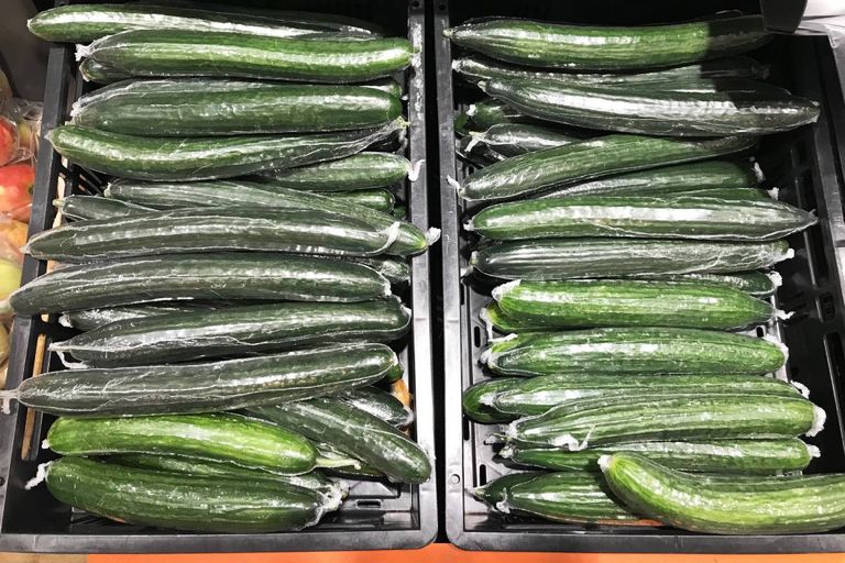Wat is duurzamer, een komkommer met of zonder plastic jas? – Foto: ANP / Hollandse Hoogte / Peter Hilz