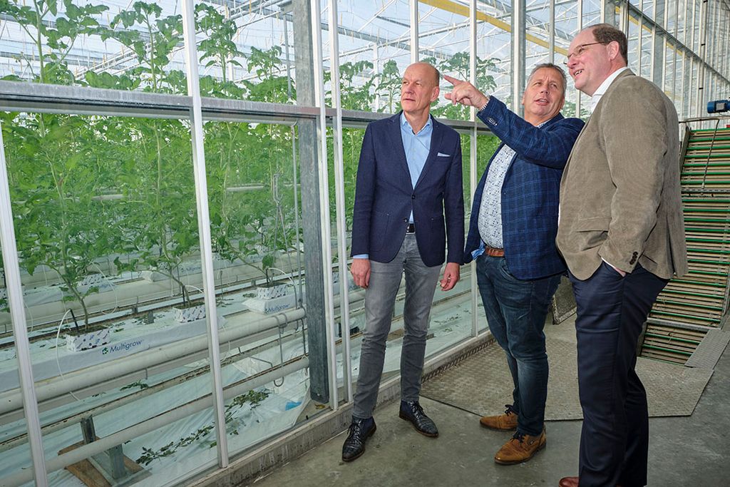 Van links naar rechts: commercieel directeur van Oxin Growers Ton van Dalen  voorzitter Jan Oosterom en algemeen directeur Hans Prins. - Foto: Fred Libochant