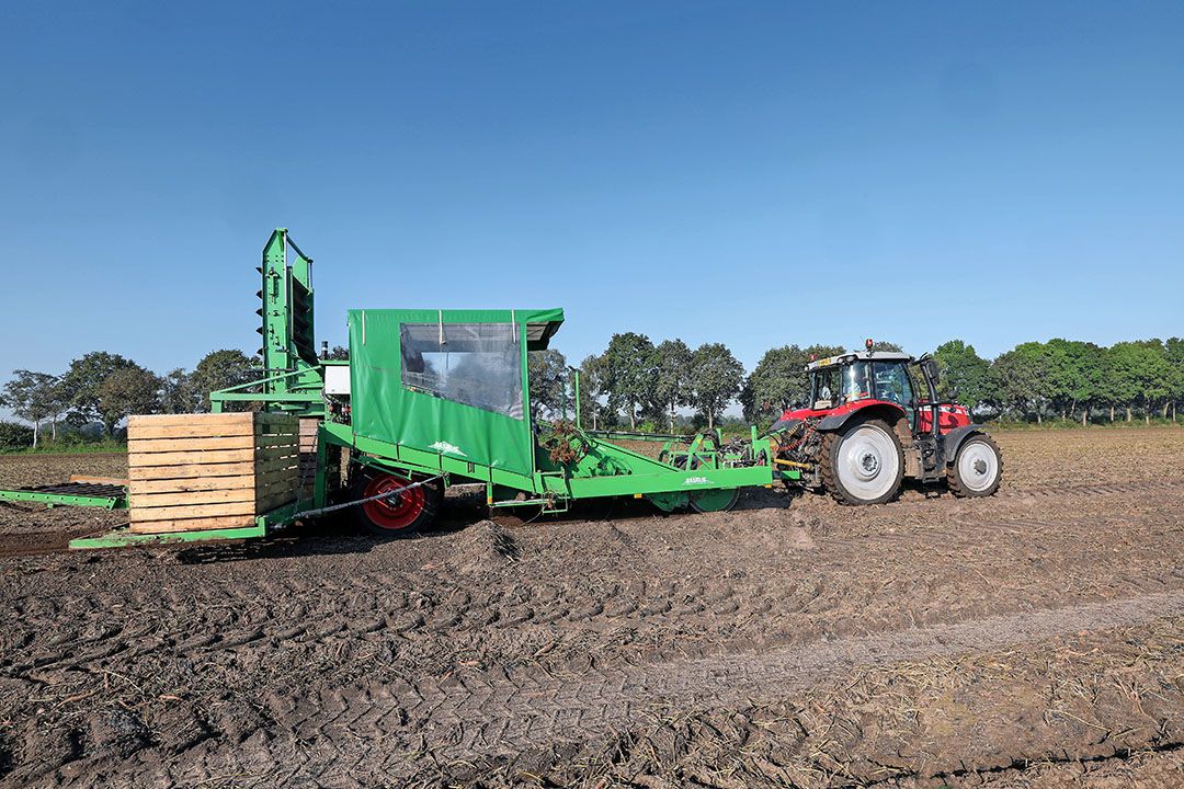 Het rooien voor de verse markt met de Basrijs verliep bij Pieter Verschure dit jaar naar wens - Foto: Bert Jansen.