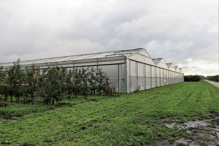 De cabriokas op Proefstation Randwijk is alleen in oktober standaard dicht. - Foto: Ton van der Scheer