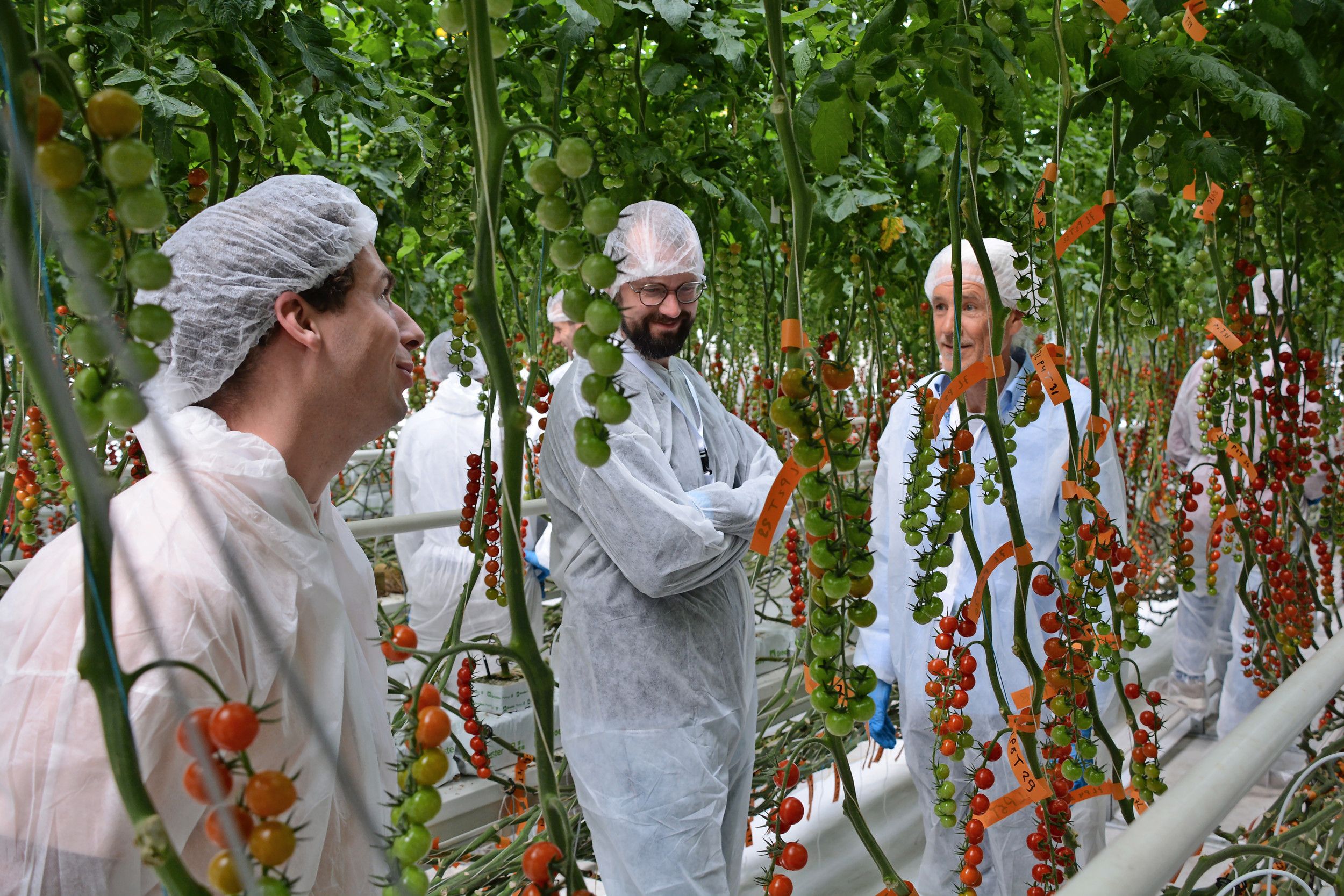 Het toekomstgerichte onderzoek biedt tomatentelers ook nu al inspiratie om hun teeltstrategie aan te passen.