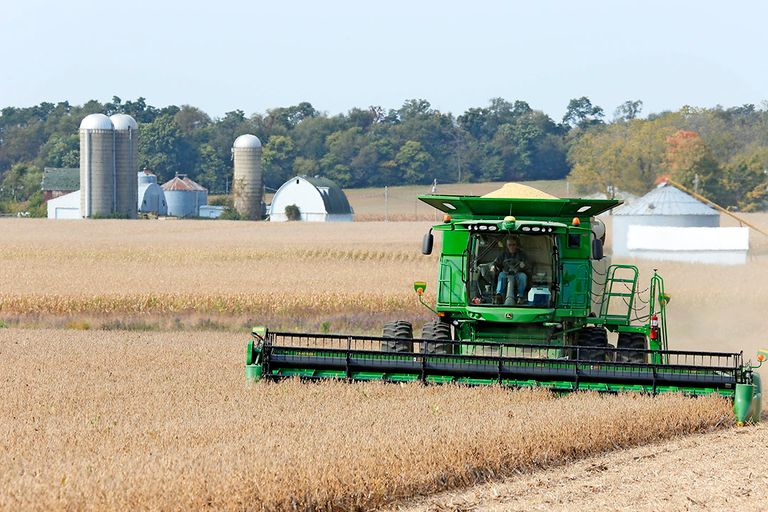 Door de moeizame start van het groeiseizoen wordt de Amerikaanse sojabonenoogst kleiner ingeschat. - Foto: Henk Riswick