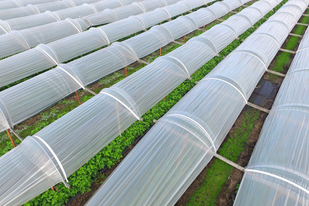 In de tuinbouw is vaak discussie over de bouw van teeltondersteunende maatregelen. Foto: Bert Jansen