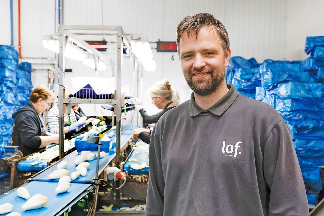 Op witlofkwekerij LOF teelt Gerwin de Vries in Espel (Fl.) roodlof en witlof. Zijn bedrijf Flevolof houdt zich bezig met de teelt, opslag en levering van (gangbare en biologische) witlofwortels en de levering van kunststof Ditom-trekbakken en verenkelingsrekken. - Foto: Ton Kastermans Fotografie