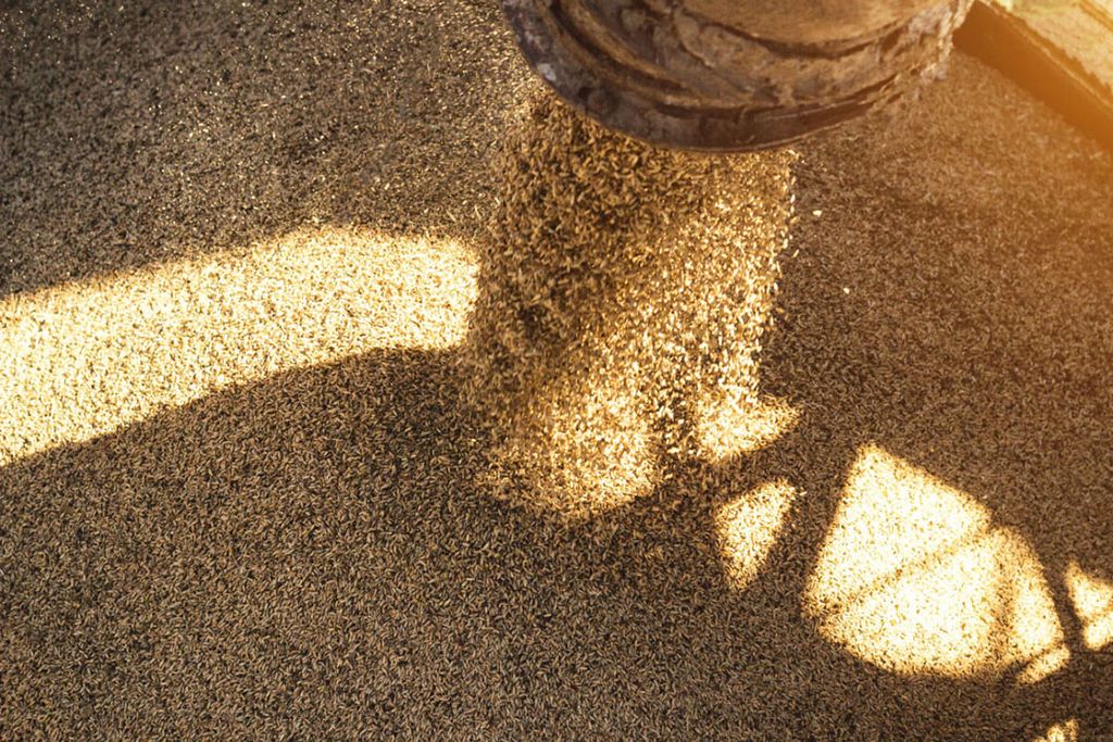 De EU heeft van 1 juli 2022 tot en met 26 maart 2023 22,7 miljoen ton tarwe uitgevoerd. - Foto: Canva/Henadzi