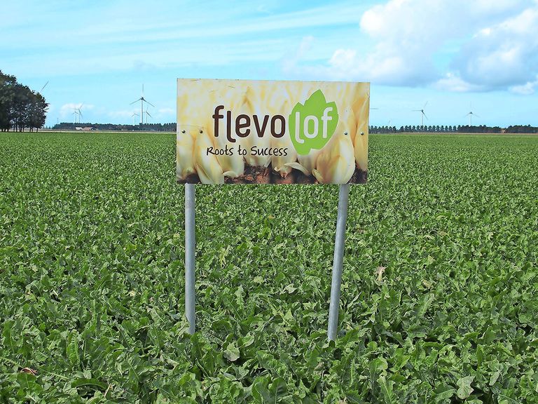 Flevolof bewaart de wortels voor zijn klanten, noodgedwongen tegen aangepaste tarieven. - Foto: Stan Verstegen
