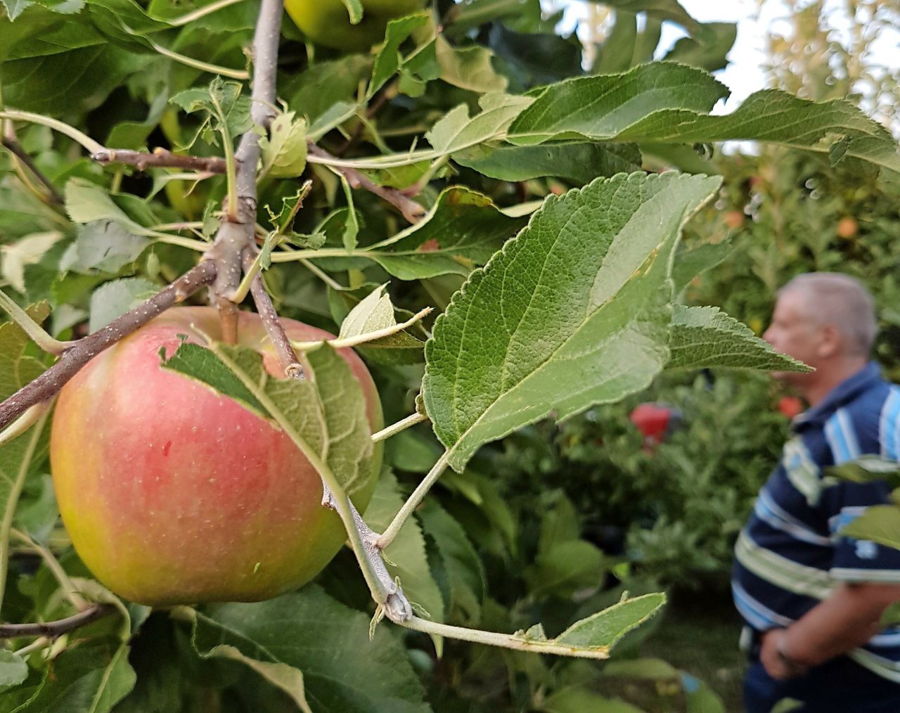 Foto: Wouter van Teeffelen