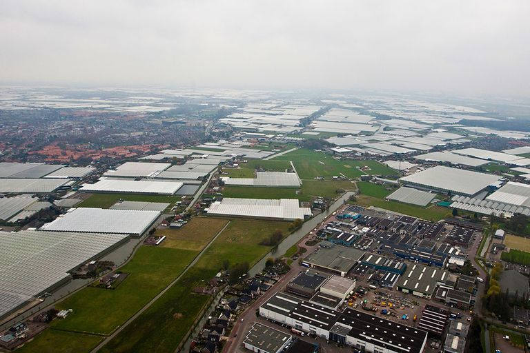 Zuid-Holland glastuinbouw