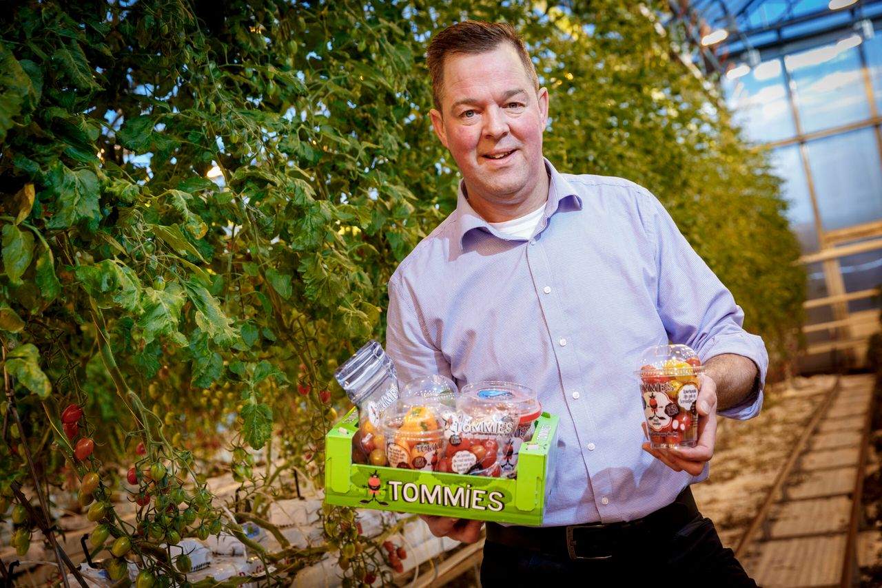Jos van Mil runt samen met vijf anderen Greenco. De maatschap werd in 1997 opgericht. Jos van Mil en Ab van Marrewijk ontwikkelden in 2005 een kleine, zoete (pruim)tomaat: Tommies. Inmiddels is Greenco een internationale teler en verpakker van de lekkerste snackgroenten: snacktomaten, snackpaprika s en snackkomkommers. In 2011 werd Greenco door het publiek uitgeroepen tot Agrarisch Ondernemer van het Jaar.- Foto: Roel DIjkstra