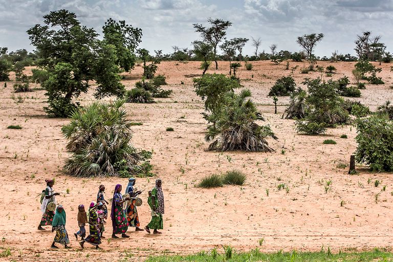 Een dorp in de Sahel. De strijd tegen woestijnvorming creëert banen en welvaart. - Foto: ANP