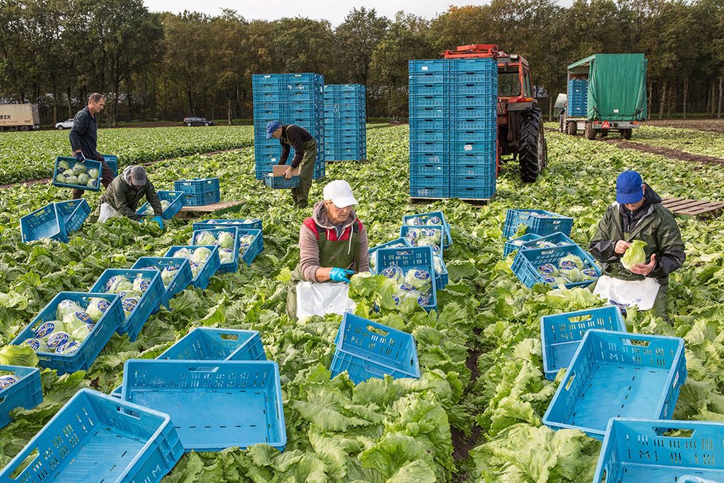 GroentenFruit Huis PlanetProof