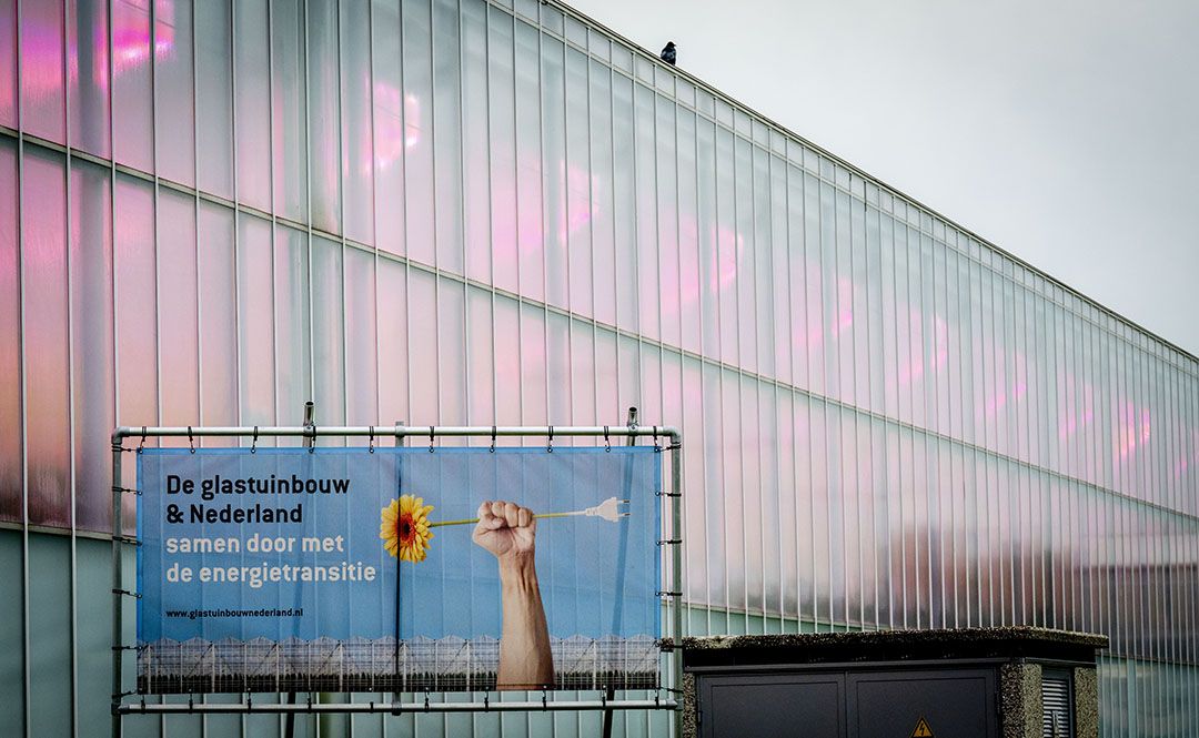 Ook de stemming om sierteeltproducten van laag naar hoog btw-tarief te brengen verliep gunstig voor de tuinbouw.  Foto: ANP