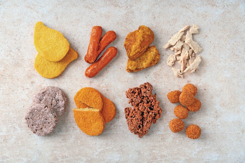 Het Europarlement stelt termen als 'veggiebuis' en 'sojaschijf' voor vleesvervangers voor. Foto: Jan Willem Schouten