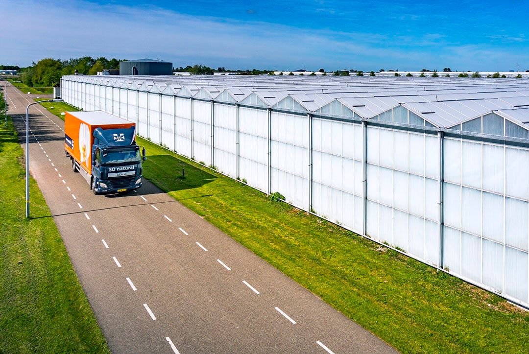 Foto: Lex van Lieshout/Hollandse Hoogte/ANP