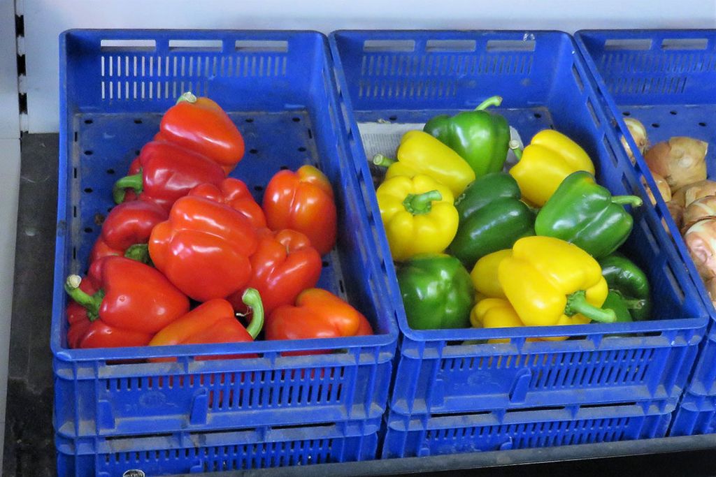 Rode, groene en gele paprika's. - Foto: Ton van der Scheer / Misset