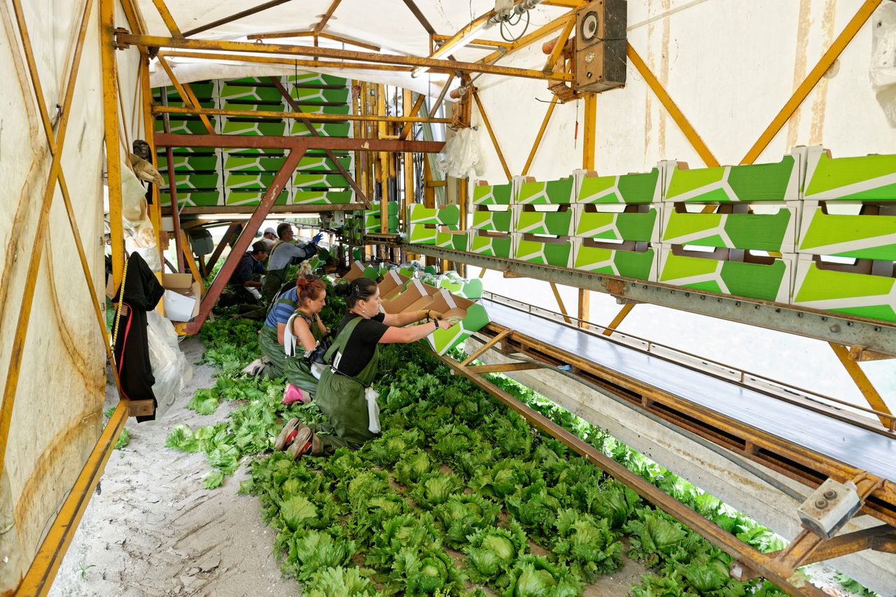 Met ingang van 1 juli 2024 is een gemiddelde loonstijging afgesproken van 4,7% en per 1 januari 2025 nog eens 2,5%. Archieffoto: Lex Salverda