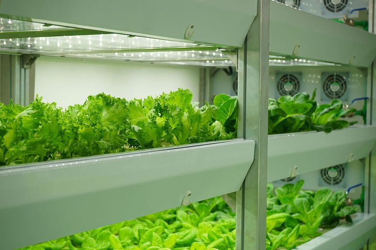 Centrum voor vertical farming