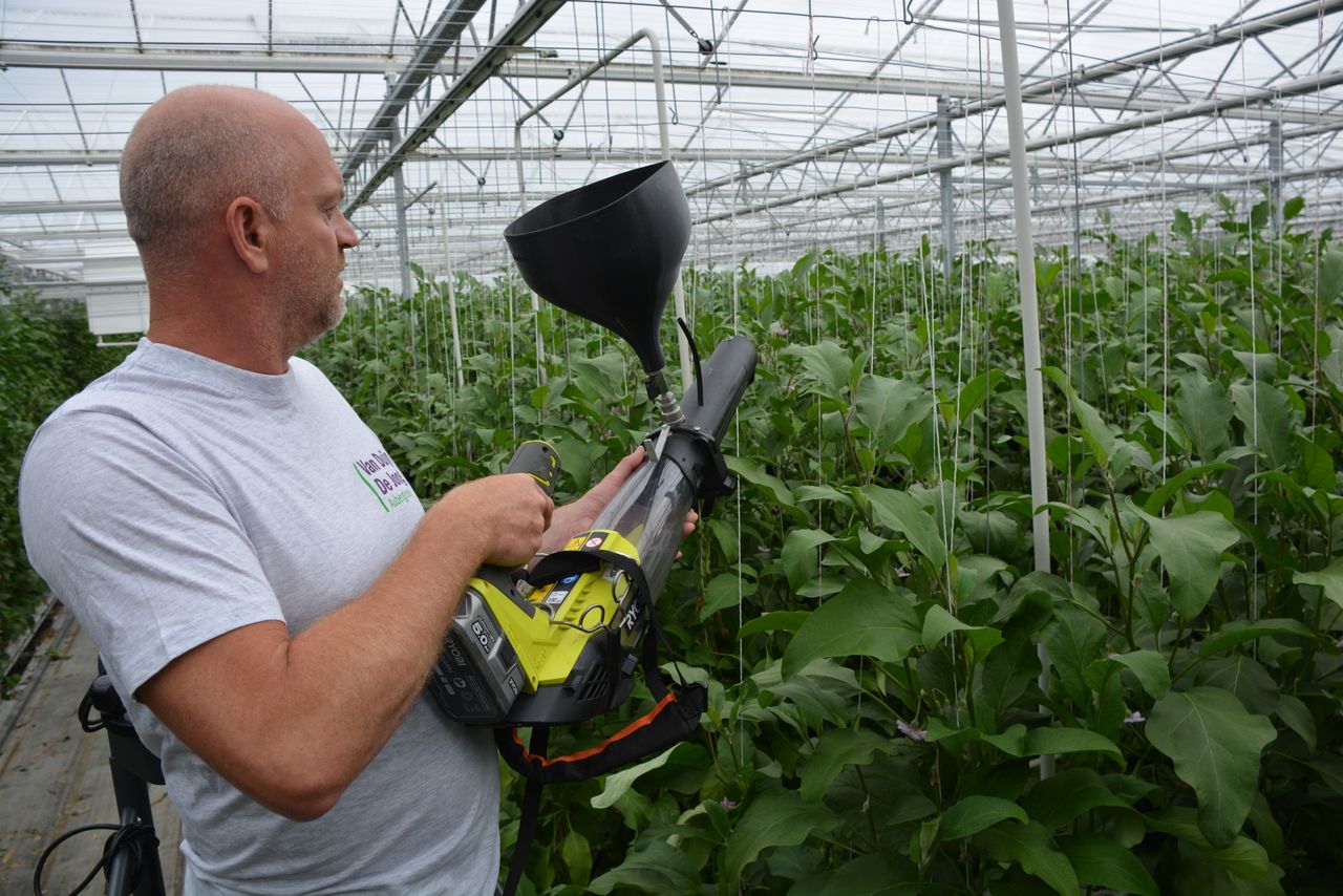 Met de grote verblazer wordt de bijvoeding 4 meter naar elke kant verspreid. Foto’s: Peter Visser