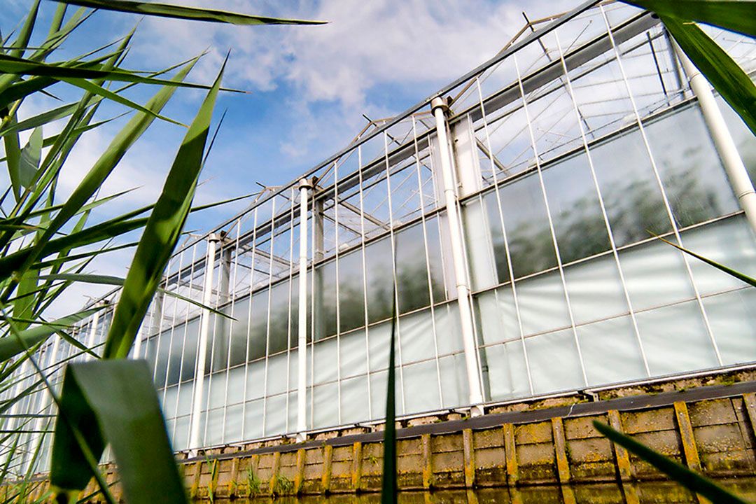 Het UWV verlaagde de Ziektewet-uitkering met 20%, omdat de Poolse medewerker niet op afspraken reageerde met de bedrijfsarts. - Foto: Joep van der Pal