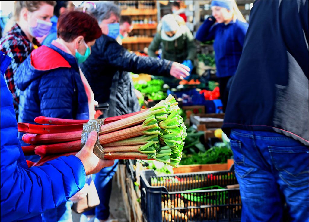 De aanvoer van Poolse groente en fruit op de markten verloopt dit jaar vergelijkbaar met die in andere jaren. - Foto: ANP