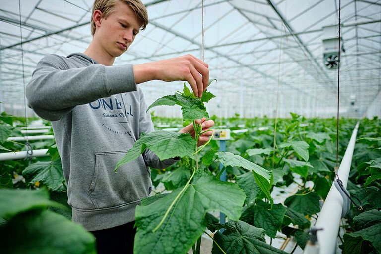 Liever een cao of er helemaal zelf uit zien te komen met je mensen? - Foto Roel Dijkstra