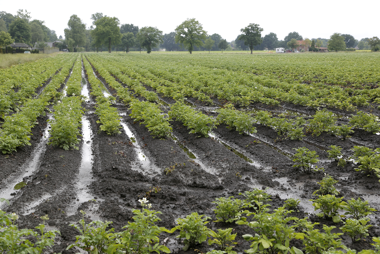 Waterschap krijgt 145 claims om wateroverlast - Foto: Jan Willem Schouten