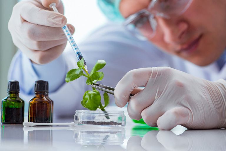 De Trendanalyse Biotechnologie 2023 van de Gezondheidsraad en Cogem is een must read voor iedereen in de foodbusiness. ​​​​​​​- Foto: Canva/Elnur